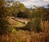 JKoteenPhotography_SupriseProposal__HolcombFarm_JakeKoteenPhotographer_7009.jpg