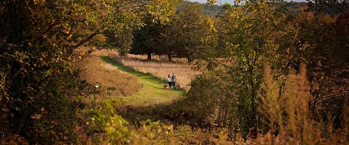 JKoteenPhotography_SupriseProposal__HolcombFarm_JakeKoteenPhotographer_7009.jpg